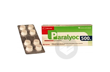Paralyoc 500 Mg Lyophilisat Oral (2 Plaquettes De 8)