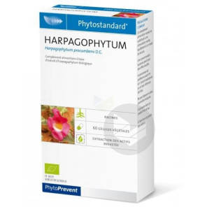 Phytostandard Harpagophytum Gel B 60
