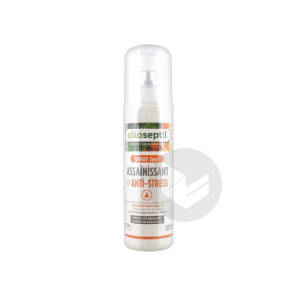  Spray Assainisseur D'air Bio Orange Et Bergamote 125 Ml
