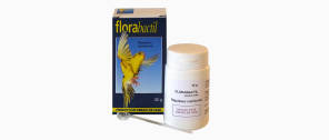 Florabactil 30g