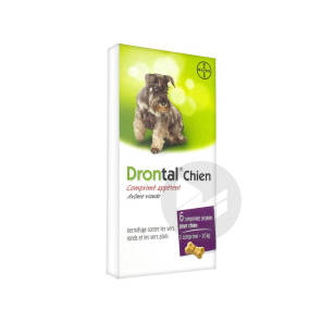 Drontal Cpr Chien B/6