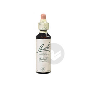  Holly Elixir Floral Fl Cpte-gttes/20ml