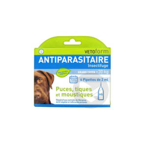 Antiparasitaire Insectifuge Grand Chien 6 Pipettes