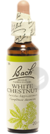 White Chestnut Elixir Floral 20 Ml