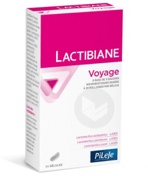 Lactibiane Voyage 480mg Gél B/14