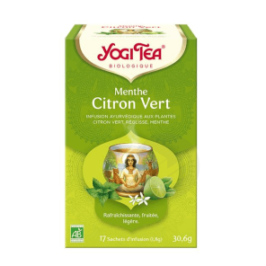Menthe Citron Vert 17 Sachets