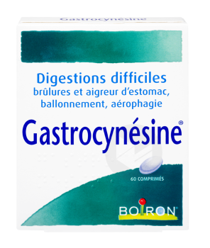 Gastrocynesine Comprimé (boîte De 60)