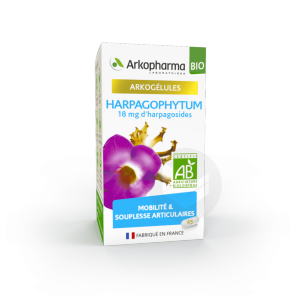 Arkogélules Bio Harpagophytum 45 Gélules