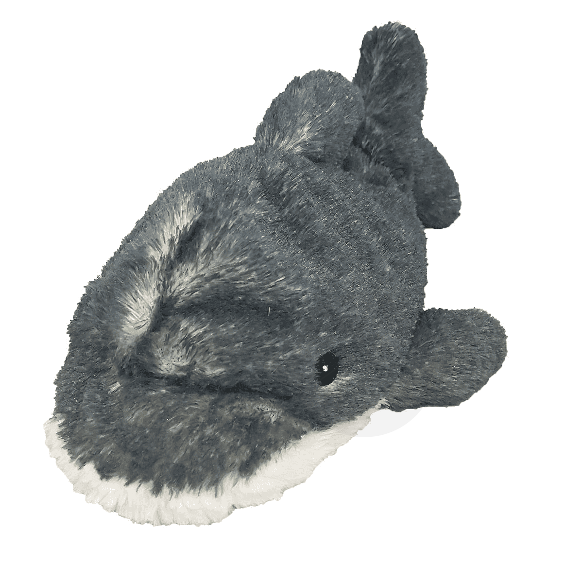 Cachalot Bouillotte