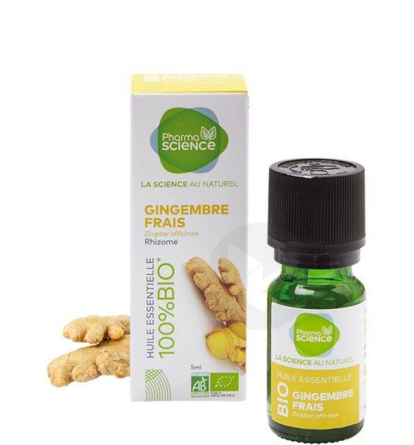Gingembre - Le Comptoir Aroma
