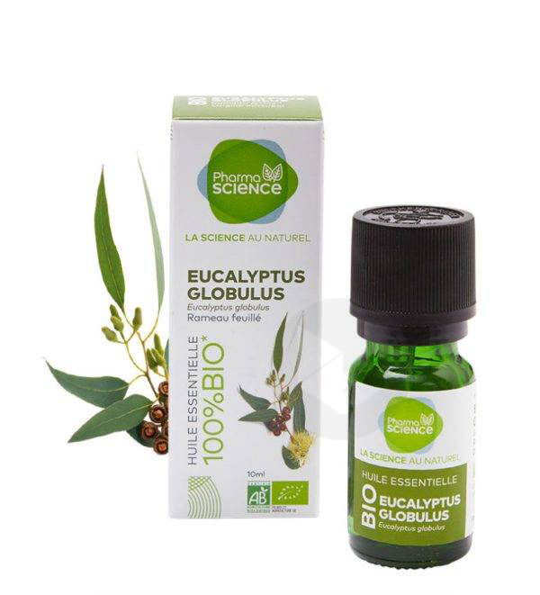 Huile Essentielle - Eucalyptus Globulus Bio [10ml] –