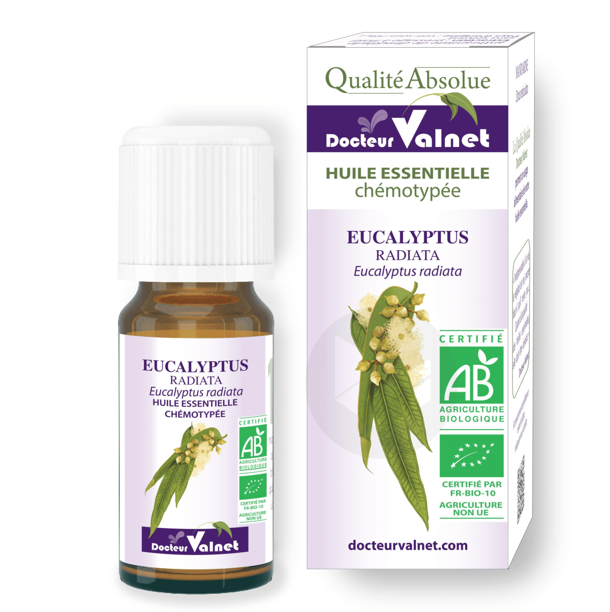 Huile essentielle d’eucalyptus radiata 10ml