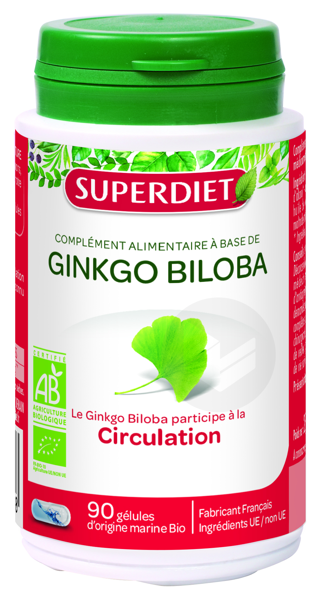 Ginkgo Biloba Bio 90 Gélules